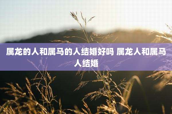 属龙的人和属马的人结婚好吗 属龙人和属马人结婚
