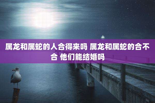 属龙和属蛇的人合得来吗 属龙和属蛇的合不合 他们能结婚吗