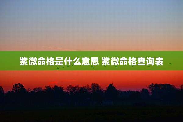 紫微命格是什么意思 紫微命格查询表
