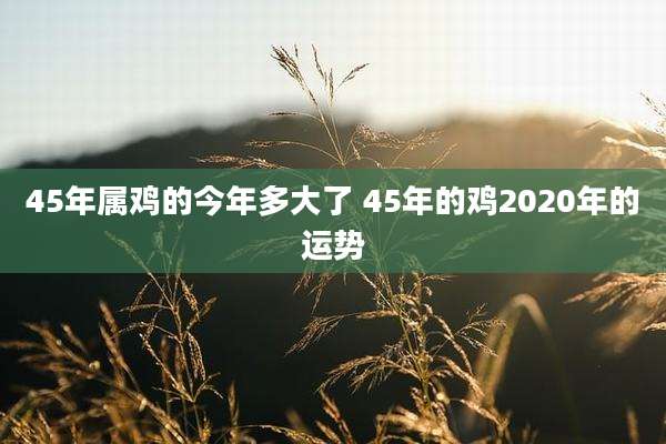 45年属鸡的今年多大了 45年的鸡2020年的运势