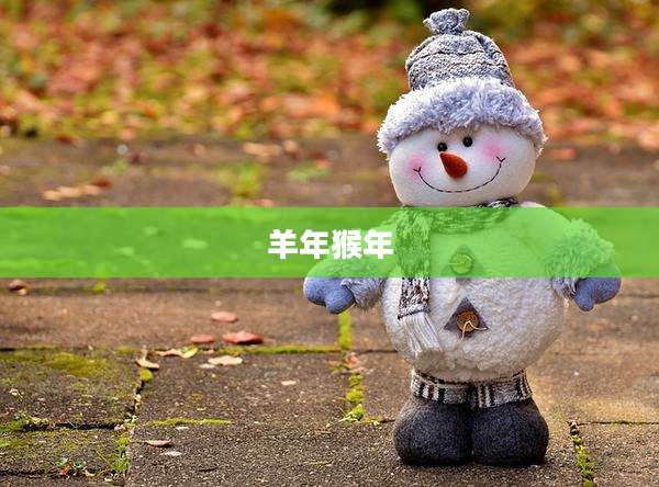 羊年猴年