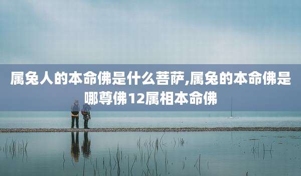 属兔人的本命佛是什么菩萨,属兔的本命佛是哪尊佛12属相本命佛