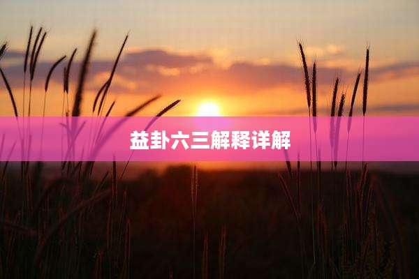 益卦六三解释详解