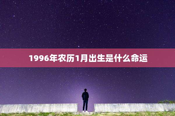 1996年农历1月出生是什么命运
