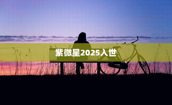 紫微星2025入世
