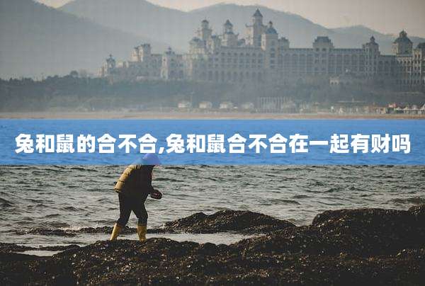 兔和鼠的合不合,兔和鼠合不合在一起有财吗