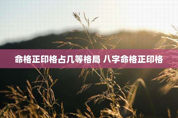 命格正印格占几等格局 八字命格正印格