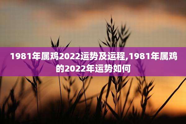 1981年属鸡2022运势及运程,1981年属鸡的2022年运势如何