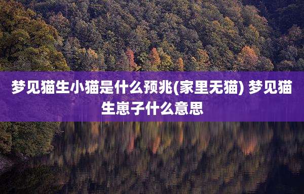 梦见猫生小猫是什么预兆(家里无猫) 梦见猫生崽子什么意思