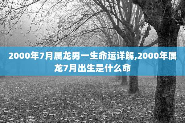 2000年7月属龙男一生命运详解,2000年属龙7月出生是什么命