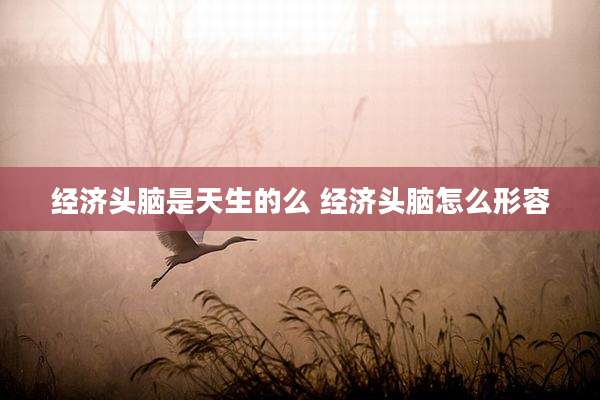 经济头脑是天生的么 经济头脑怎么形容
