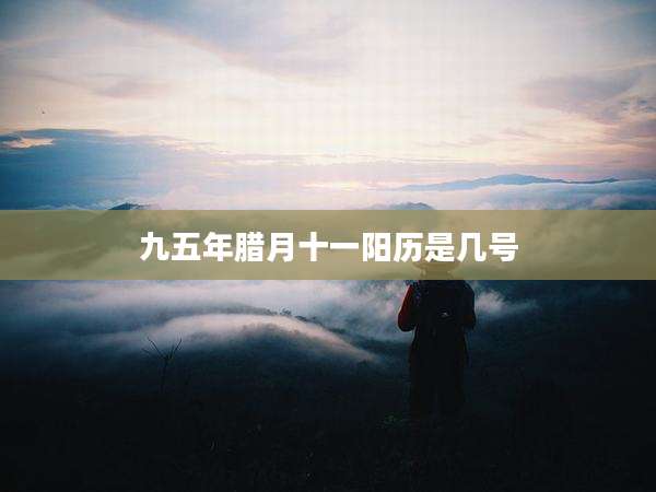 九五年腊月十一阳历是几号