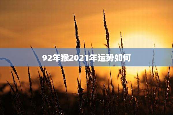 92年猴2021年运势如何
