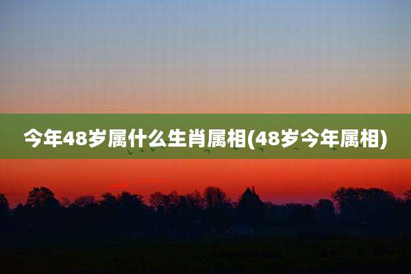 今年48岁属什么生肖属相(48岁今年属相)