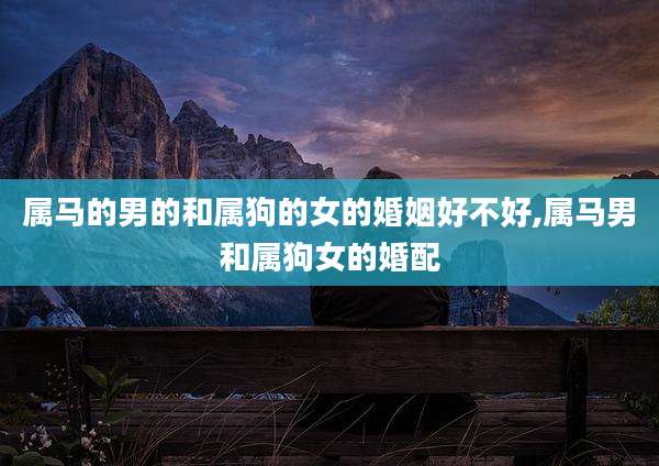 属马的男的和属狗的女的婚姻好不好,属马男和属狗女的婚配