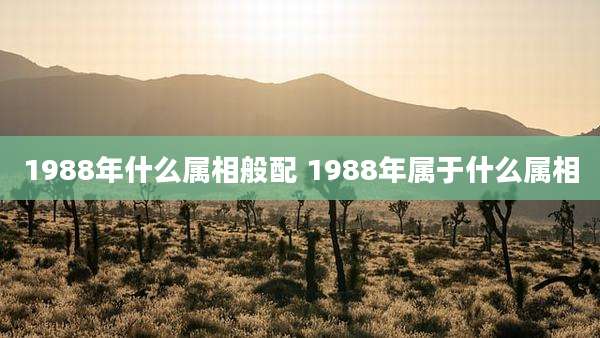 1988年什么属相般配 1988年属于什么属相