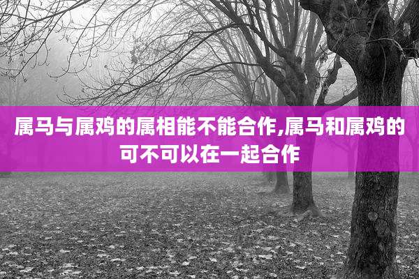 属马与属鸡的属相能不能合作,属马和属鸡的可不可以在一起合作