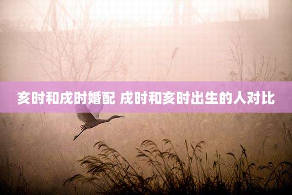 亥时和戌时婚配 戌时和亥时出生的人对比