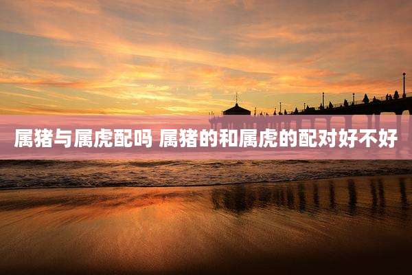 属猪与属虎配吗 属猪的和属虎的配对好不好