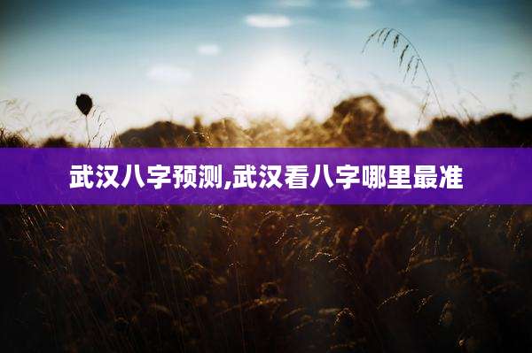 武汉八字预测,武汉看八字哪里最准