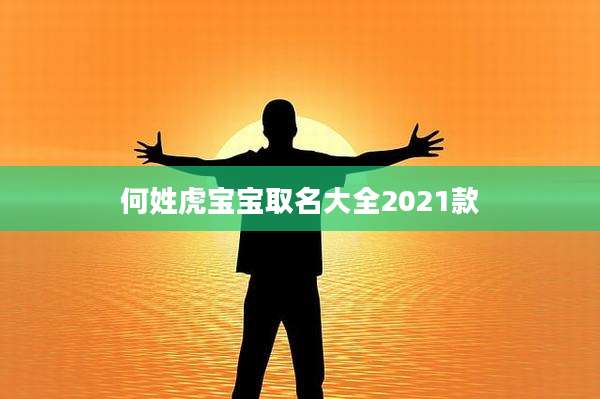 何姓虎宝宝取名大全2021款