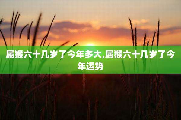属猴六十几岁了今年多大,属猴六十几岁了今年运势