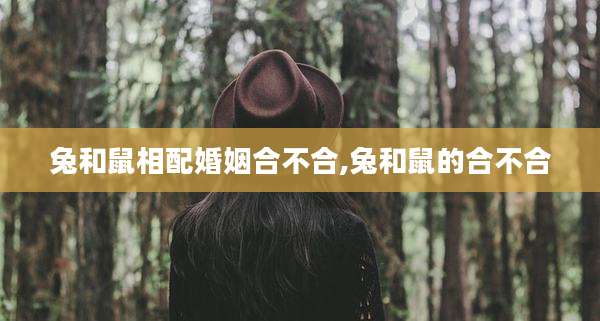 兔和鼠相配婚姻合不合,兔和鼠的合不合