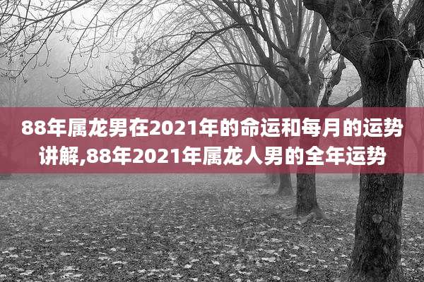 88年属龙男在2021年的命运和每月的运势讲解,88年2021年属龙人男的全年运势