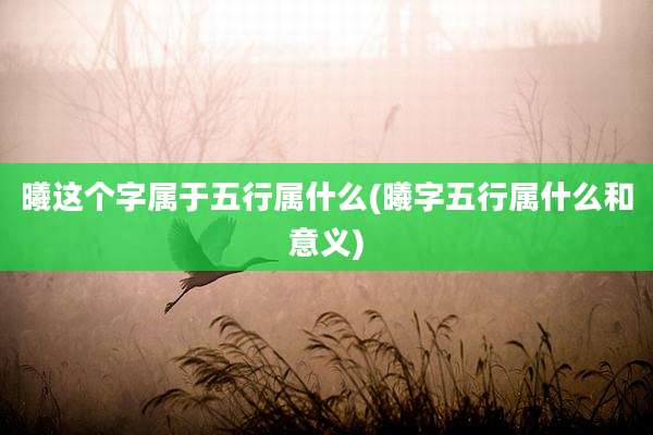 曦这个字属于五行属什么(曦字五行属什么和意义)