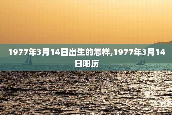 1977年3月14日出生的怎样,1977年3月14日阳历