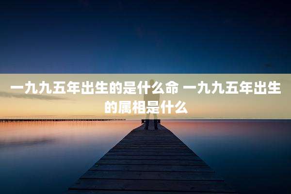 一九九五年出生的是什么命 一九九五年出生的属相是什么