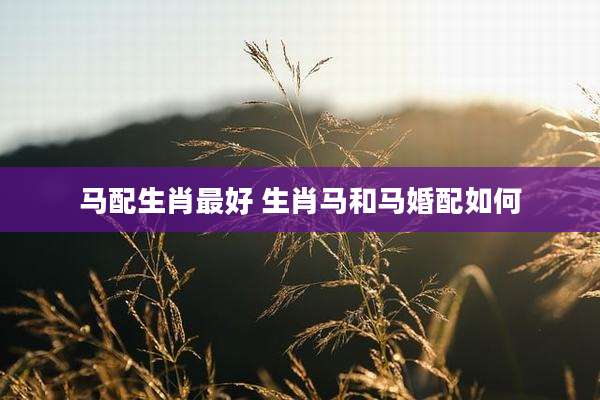 马配生肖最好 生肖马和马婚配如何