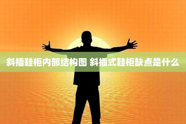 斜插鞋柜内部结构图 斜插式鞋柜缺点是什么