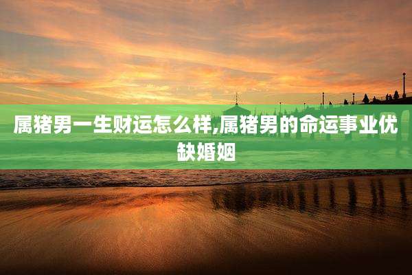 属猪男一生财运怎么样,属猪男的命运事业优缺婚姻