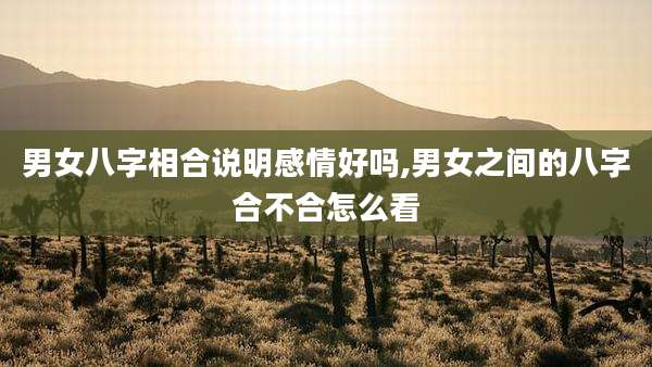 男女八字相合说明感情好吗,男女之间的八字合不合怎么看