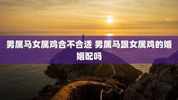 男属马女属鸡合不合适 男属马跟女属鸡的婚姻配吗