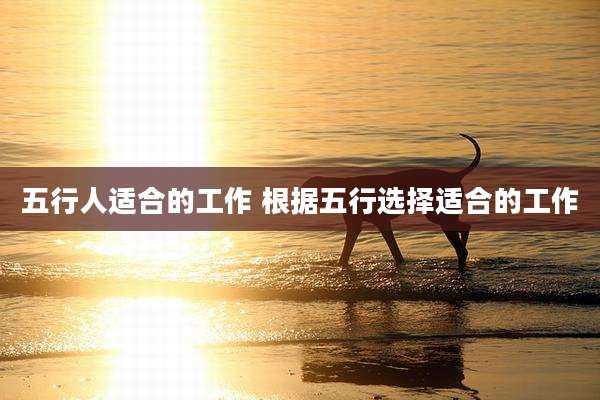 五行人适合的工作 根据五行选择适合的工作