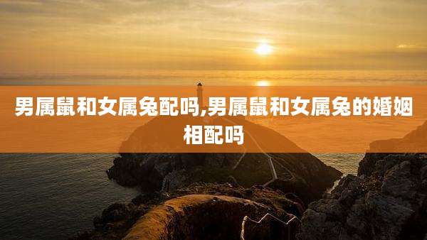 男属鼠和女属兔配吗,男属鼠和女属兔的婚姻相配吗