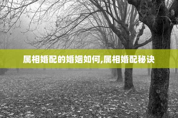 属相婚配的婚姻如何,属相婚配秘诀