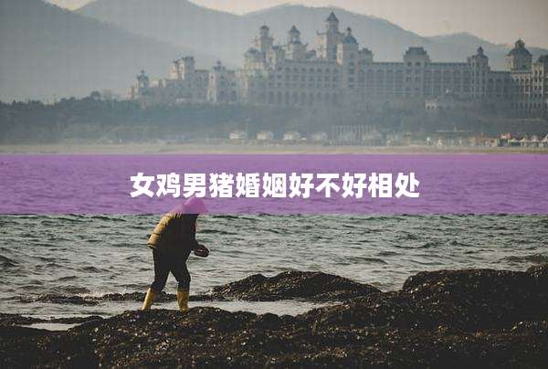 女鸡男猪婚姻好不好相处