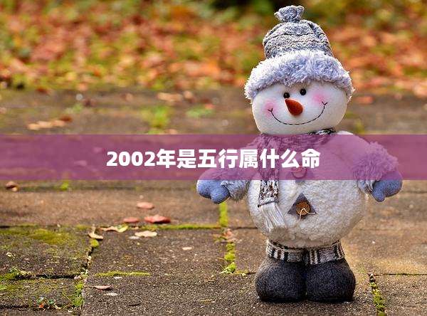 2002年是五行属什么命