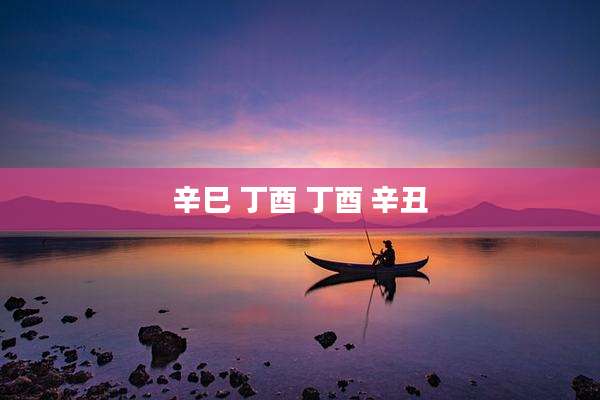 辛巳 丁酉 丁酉 辛丑