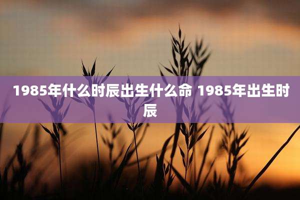 1985年什么时辰出生什么命 1985年出生时辰