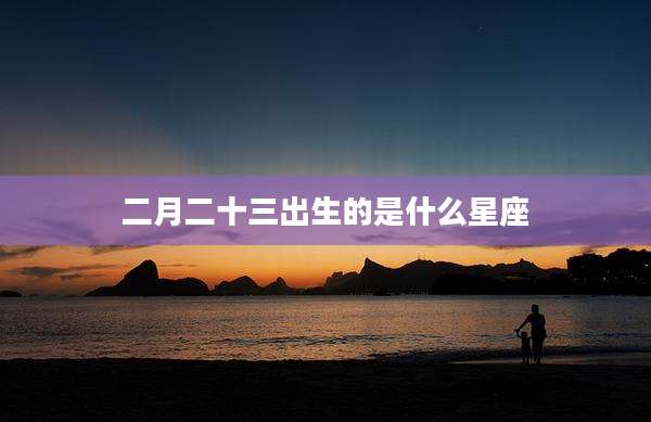 二月二十三出生的是什么星座