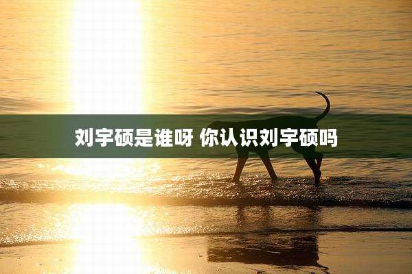 刘宇硕是谁呀 你认识刘宇硕吗