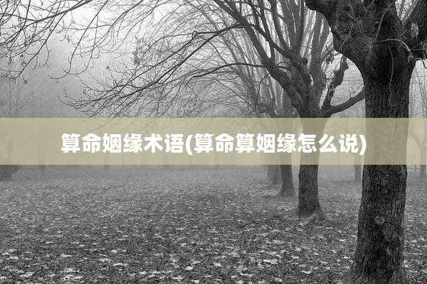 算命姻缘术语(算命算姻缘怎么说)