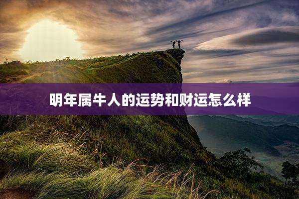 明年属牛人的运势和财运怎么样
