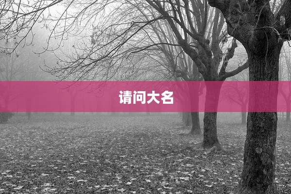 请问大名