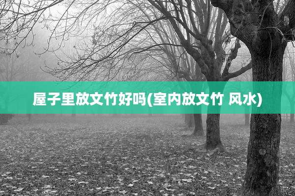 屋子里放文竹好吗(室内放文竹 风水)