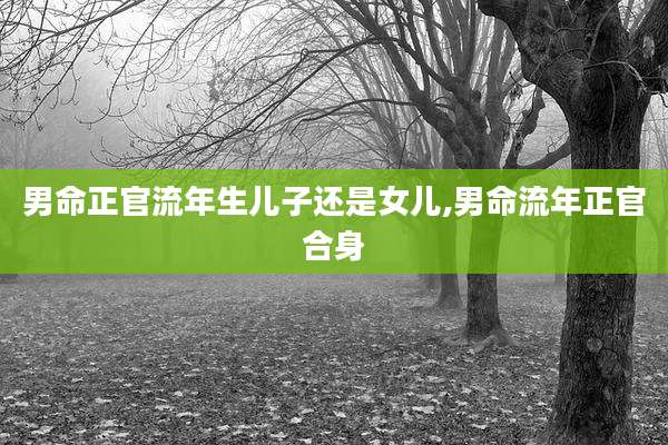 男命正官流年生儿子还是女儿,男命流年正官合身